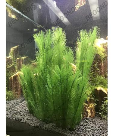 Begondis Aquarium Decorations - Artificial Green Aquatic Plants | Safe Silk & Plastic Plants for Fish & Pets | 30cm - Buy Online on SooperMarket.com