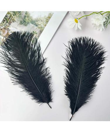 Pioio 20pcs Black Ostrich Feathers Plumes 12-14 inch - Ideal for DIY Halloween & Gatsby Decorations - Buy Online on SooperMarket.com