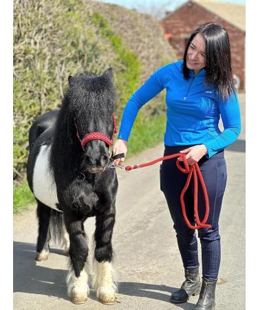 POLKA DOT HEADCOLLAR WITH LEAD ROPE FULL-MINI SHETLAND (Purple Shetland) Shetland Purple - Buy Online on SooperMarket.com