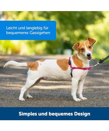 PetSafe Easy Walk Harness - Anti-Pull Dog Harness Red Size L with 1.8M Leash | Reduce Choking & Coughing | International Shipping Available - Buy Online on SooperMarket.com