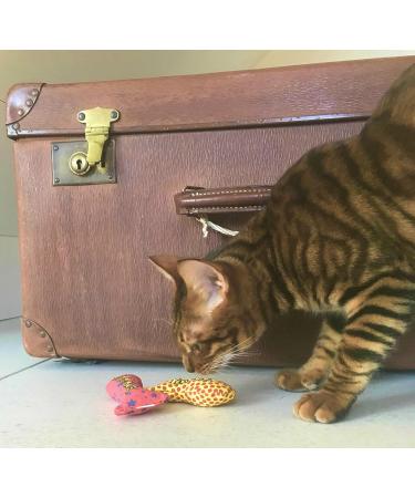 YEOWWW catnip toys for cats - organic very strong catnip fish stinkies sardines cat toys with catnip pack of 3 colourful patterns - 7.5cm long - Buy Online on SooperMarket.com