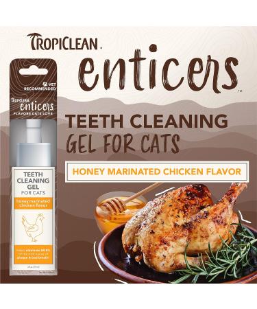 TropiClean Enticers Teeth Cleaning Gel for Cats - Honey Marinated Chicken Flavor 2oz - Dental Gel - Helps Remove The Source of Bad Breath and Plaque- Flavor Cats Love - No Brushing Honey Marinated Chicken 59 g (Pack of 1) Cats - Buy Online on SooperMarket.com