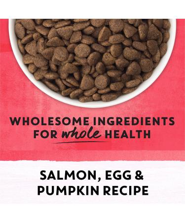 Beyond Superfood Blend Natural Dry Dog Food Wild Caught Salmon Egg & Pumpkin - 1.67 kg Bag 1.67 kg (Pack of 1) Dog Food - Buy Online on SooperMarket.com