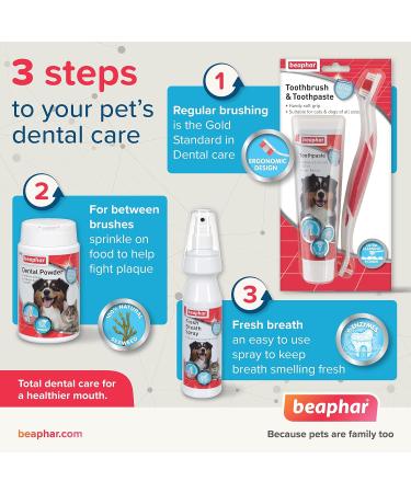 Beaphar Anti-Plaque Dental Powder for Dogs & Cats 75g Tub - Combats Plaque & Tartar, Prevents Bad Breath - Buy Online on SooperMarket.com