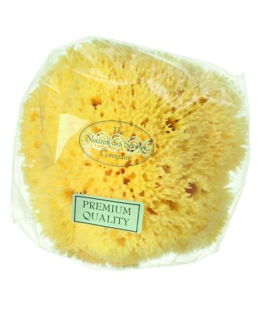 Hydrea London Sea Sponge