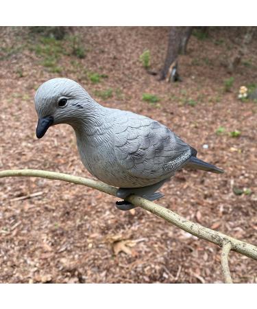 HQ Outfitters Dove Decoy 4 Pack - Realistic Hunting Decoys - Buy Online on SooperMarket.com