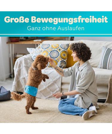 Dog is K nig Male Dog Diapers - Washable Comfort for Incontinence | Eco-Friendly Easy to Clean XS (23-32cm) - 3 Pack in Black Blue Green - Buy Online on SooperMarket.com