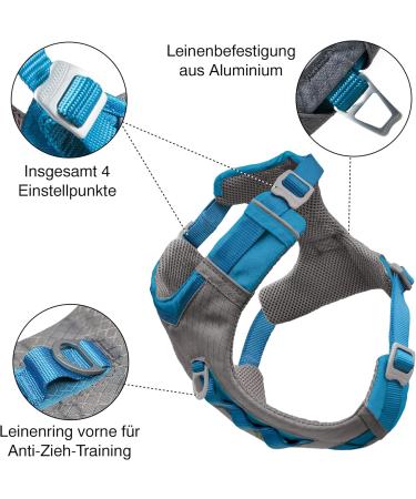 Buy Kurgo Journey Air Dog Harness - Padded Chest & Back Handle for Small Dogs (5-11 kg) in Blue/Gray - Buy Online on SooperMarket.com