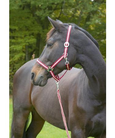 Kerbl Nylon Halter for Hippo Pony & Shetty - Full Cob & XFull Sizes in 6 Colors Including 3 Reds | Durable & Adjustable - Buy Online on SooperMarket.com