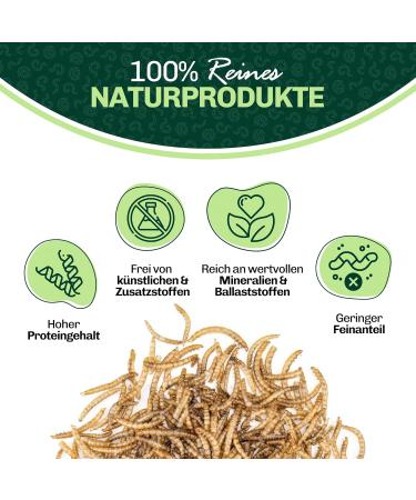 Blumixx Jan-Pet Premium Mealworms 2kg - Dried Bird Feed for Wild Birds Hedgehogs Squirrels Hamsters & Fish | All-Year Nutrition - Buy Online on SooperMarket.com