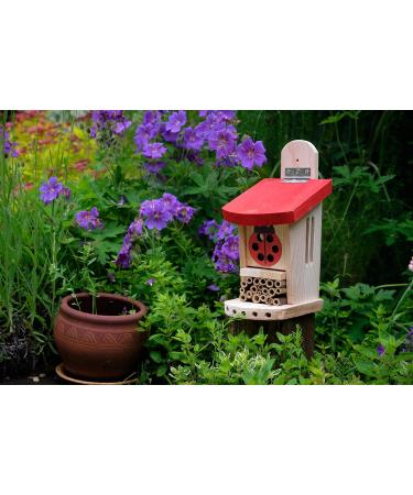 Wildlife World LBT4 Live Ladybird Lodge in Red/Brown - Natural Pest Control Solution - Buy Online on SooperMarket.com