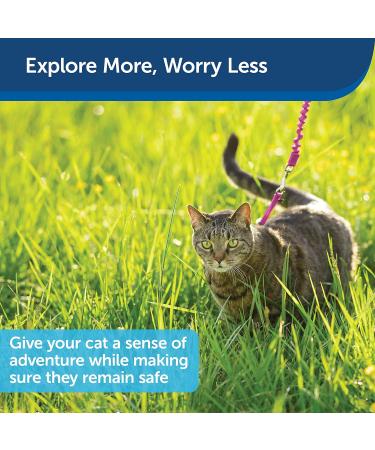 PetSafe Come with Me Kitty Harness & Bungee Leash - Dusty Rose/Burgundy - Perfect Fit for Small Cats - International Shipping Available - Buy Online on SooperMarket.com