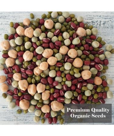 VERDANT REPUBLIC Organic Protein Power Sprouting Seeds Mix 500g | Non GMO Superfood Microgreens | Easy to Sprout with Peas Chick Pea Mung & Adzuki Beans - Buy Online on SooperMarket.com