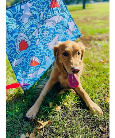 Large Premium Diamond Kite - Easy to Fly for Kids and Adults | Fun Outdoor Activity for Boys and Girls | Perfect for Beach or Park (Watercolor) Tie-Dye - Buy Online on SooperMarket.com