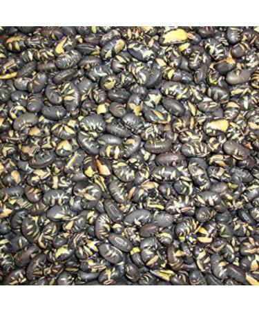 Black Soybeans 1 Kg Roasted and Lightly Salted 2.2 Lbs high Protein Gluten Free GMO Free - Dorimed