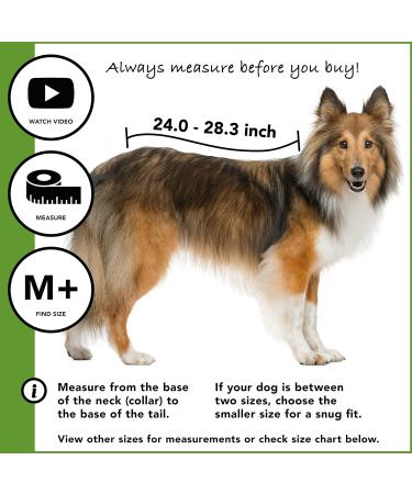 Buy Suitical Recovery Suit for Dogs - M+ Size in Black | Ideal Post-Surgery Pet Wear - International Shipping Available - Buy Online on SooperMarket.com
