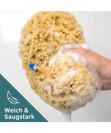 Tom & Pat Natural Bathing Sponge with Cordel | Premium Quality Shower & Peeling Sponge from Greece - Dermatest Rated Very Good (15-16 cm) - Buy Online on SooperMarket.com