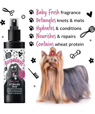 BUGALUGS Baby Fresh Dog Detangler Spray - Hair Conditioner for Dogs with baby powder dog perfume - Professional groom detangling spray- Pro dog grooming Spray for Your Pooch (200ml) - Buy Online on SooperMarket.com