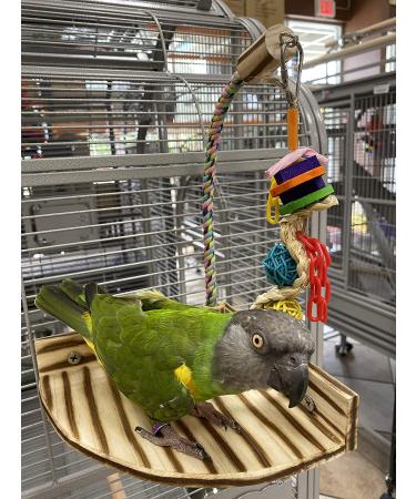Birds LOVE TigerTail Tabletop Play Gym for Small Corner Cage - Free Parrot Toy Included! - Buy Online on SooperMarket.com