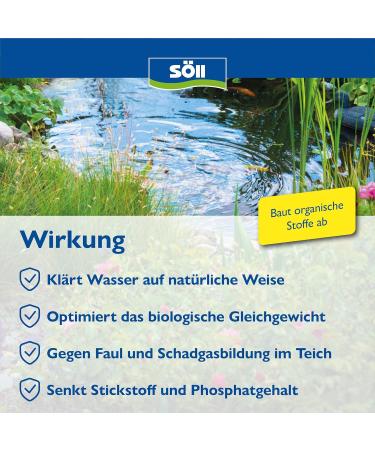 S ll 80381 Dr. Roth's Pond Clear - Microbiological Pond Cleaning & Algae Control 1kg for 20 000 Liters | Eco-Friendly Water Treatment - Buy Online on SooperMarket.com