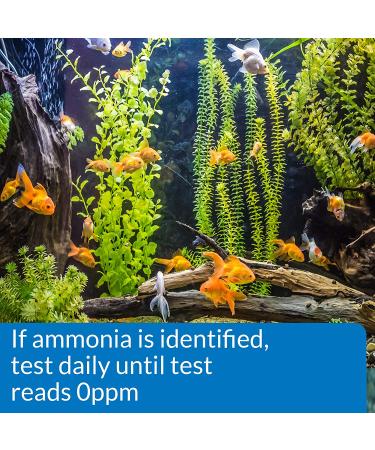 API Test Strips  for Variety of Water Parameters  Monitor Aquarium Water Quality and Help Prevent Invisible Water Problems That can be Harmful to Fish  Use Weekly and When Problems Appear 25 - Count Aquarium Water Testing - Buy Online on SooperMarket.com