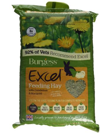 Burgess Excel Feeding Hay with Dandelion and Marigold 1kg (Pack of 3) Timothy Hay 1 kg (Pack of 3)
