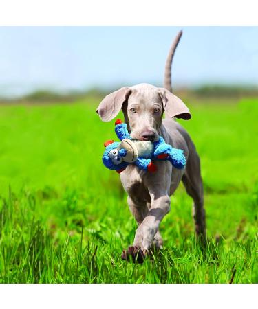 KONG Cross Knots Monkey Toy for Small/Medium Dogs - Internal Knotted Ropes, Minimal Stuffing - Multicolor - Buy Online on SooperMarket.com
