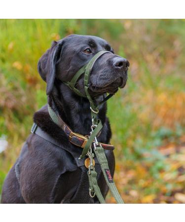Halti Head Harness for Small Dogs - Prevent Pulling Light & Adjustable Padded Nose Strap Anti-Train Neck Band - Forest Green (Size 1) - Buy Online on SooperMarket.com