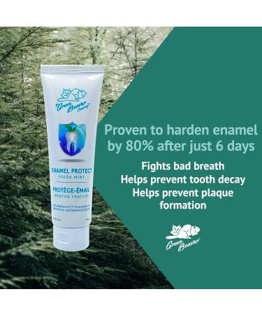 Green Beaver Naturapeutic Toothpaste - Enamel Protect Fresh Mint - 3-Pack - Buy Online on SooperMarket.com