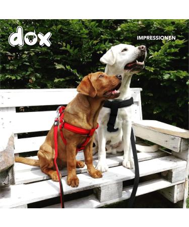 Ddoxx Adjustable Air Mesh Dog Harness - Step-In Padded for Small Medium & Large Dogs | Multiple Colors & Sizes Available | Ideal for Dogs Cats & Puppies - Buy Online on SooperMarket.com