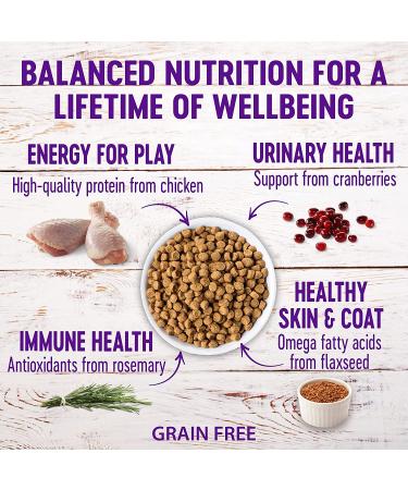 Wellness Complete Health Grain-Free Indoor Chicken Dry Cat Food - 2.25 lb Bag - Buy Online on SooperMarket.com