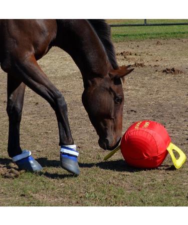 Signature Horsemen's Pride 14-Inch Horse Jolly Tug Blue one size - Buy Online on SooperMarket.com