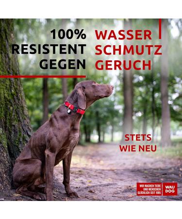 Waterproof Adjustable Dog Collars for Big Medium & Small Dogs | Waudog - Durable & Stylish Puppy Collars - Buy Online on SooperMarket.com