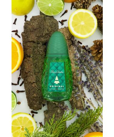 Pino Silvestre Original By Pino Silvestre For Men - A Men's Eau De Toilette Cologne Perfume Spray With A Million Dollar Fragrance - An Extreme Pheromone For The Classic Man In Your Life - 4.2 Oz - Buy Online on SooperMarket.com