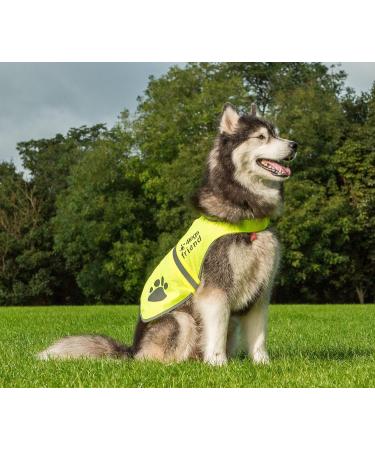 Yellow Reflective Dog Safety Vest with Leash Hole - High Visibility for Outdoor Activities | 4LegsFriend (X-Small) - Buy Online on SooperMarket.com