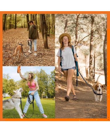 Toozey Adjustable Long Line Leash 10m Black - Non-Slip Recall Lead for Tracking, Camping, and Play | Padded Handle, Storage Bag | Robust Dog Training Lead - Buy Online on SooperMarket.com