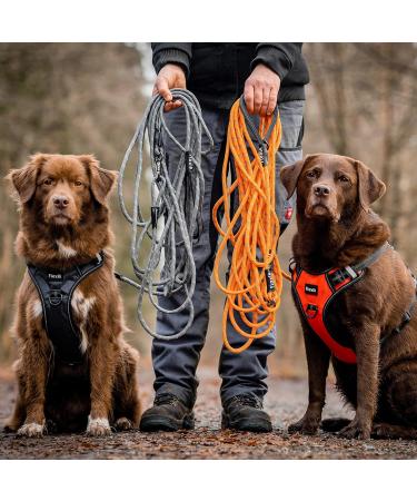 Buy Floxic Tow Lines for Dogs - 5m 10m 15m 20m Gray | Reflective Tether with Removable Hand Loop | Ideal for Puppy Training - International Shipping Available - Buy Online on SooperMarket.com