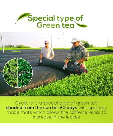 Gyokuro Green Tea Japanese Green Tea Loose Leaf Yabukita High Caffeine Loose Leaf Tea Antioxidant-Rich Green Tea Loose Leaf Vegan and All-Natural Loose Leaf 3.5oz - Buy Online on SooperMarket.com