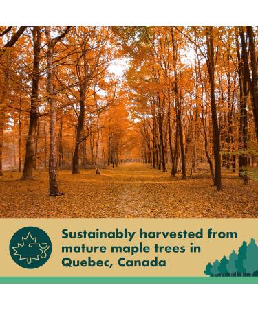 St Lawrence Gold Organic Maple Syrup 250ml - Grade A Pure Canadian Amber Maple Syrup - Buttery Caramel Taste - Gluten Free Vegan - 1 Pack - Buy Online on SooperMarket.com