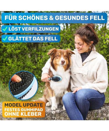 Bluepet Double-Decker 2-in-1 Dog Brush for Long & Short Hair - Perfect for Puppies & Cats - Ultimate Fur Care Tool - Buy Online on SooperMarket.com
