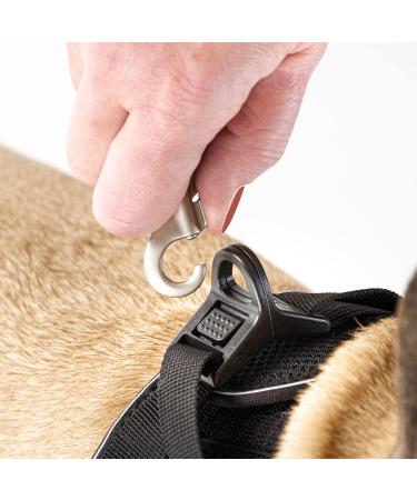 Curli D-Ring Buckle Vest Harness Mandarin XS - Premium International Shipping for Your Pet - Buy Online on SooperMarket.com