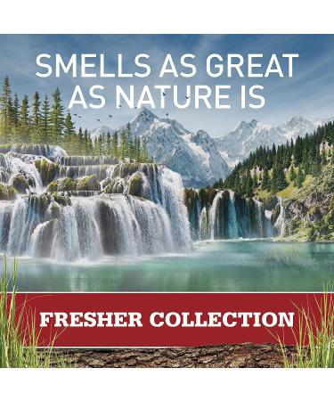 Old Spice Fresher Collection Men's Anti-Perspirant and Deodorant Fiji Scent - 3.4 Oz (Pack of 2) 3.4 Ounce (Pack of 2) Fiji - Buy Online on SooperMarket.com