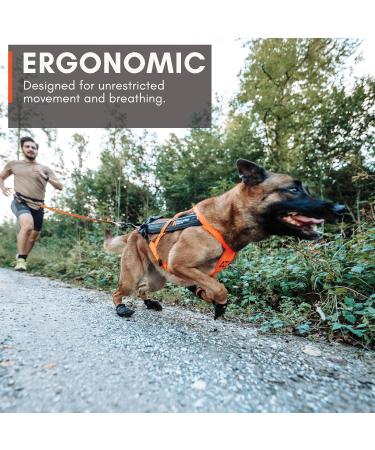 Non-stop Dogwear Freemotion Harness 5.0 | Versatile Dog Harness for All Sports | Size 8 Black/Orange - Shop Internationally - Buy Online on SooperMarket.com