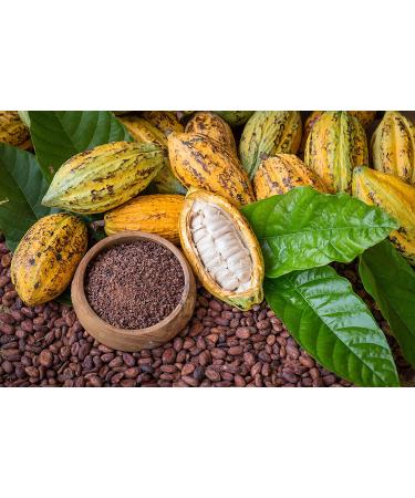 Organic Cacao Nibs 1 Pound - Unsweetened, Non-GMO, Kosher, Raw - Vegan Sirtfood Superfood - Bulk Cacao Nibs (Pack of 1) - Buy Online on SooperMarket.com