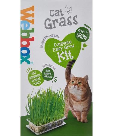 Webbox Cat Grass Kit 120g