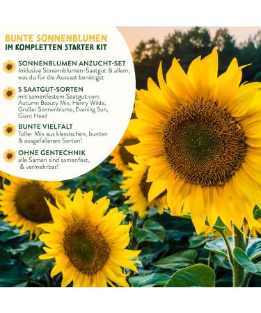 valeaf Sunflower Starter Kit (Sunflowers) - Buy Online on SooperMarket.com
