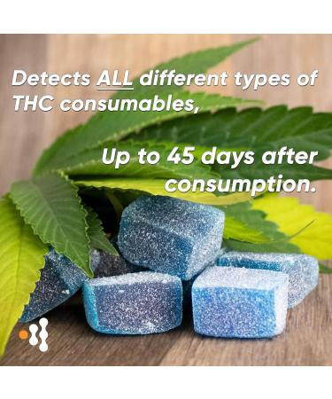 Prime Screen 10 Pack Marijuana Drug Test Kit - The Most Accurate Medically Approved Urine Drug Screening Test - Detecting Any Form of THC Cannabis - WDTH-114 - Buy Online on SooperMarket.com