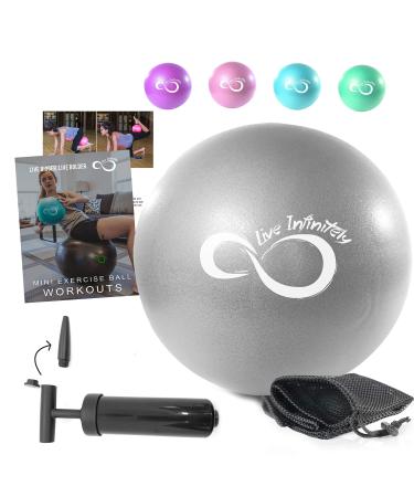 Live Infinitely 9 Inch Barre Pilates Ball & Hand Pump Anti Burst Mini Ball & Digital Workout eBook Included for Yoga, Exercise, Balance & Stability Training  Comes with Mesh Carrying Bag Silver 9 Inch