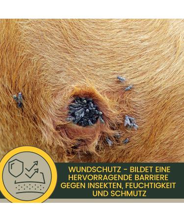 First Aid Set for Horses - Silver Spray & Zinc Ointment for Wound Healing Protection & Disinfection | 250ml & 200ml Options for Pets & Livestock - Buy Online on SooperMarket.com