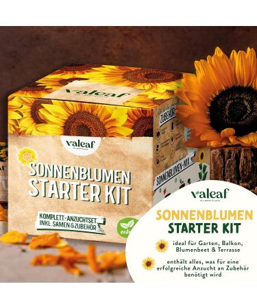 valeaf Sunflower Starter Kit (Sunflowers) - Buy Online on SooperMarket.com